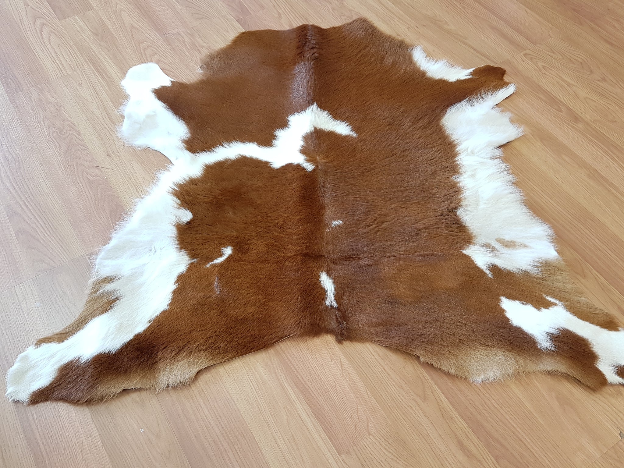 Calf store hide rug